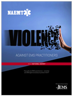 Pubs_Violence report